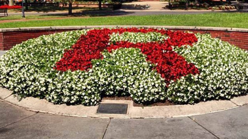 rutgers university generic FB courtesy