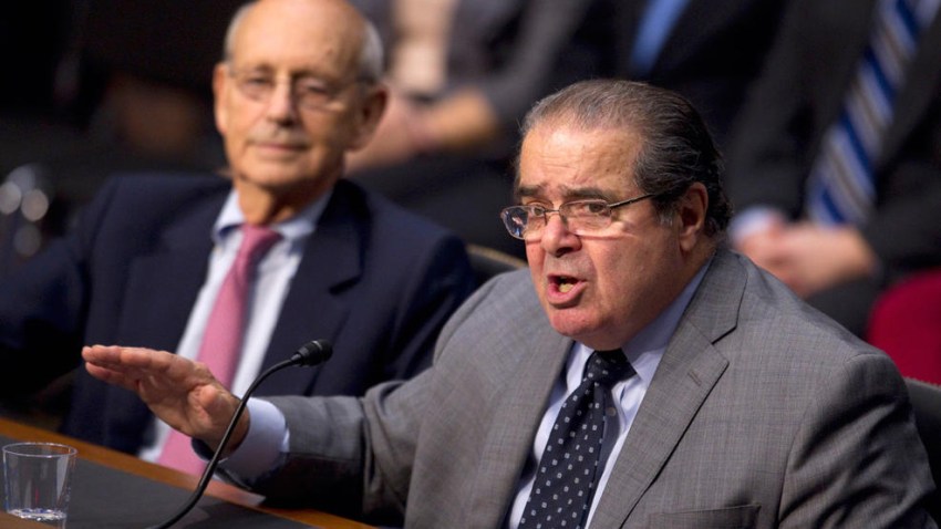 scalia3