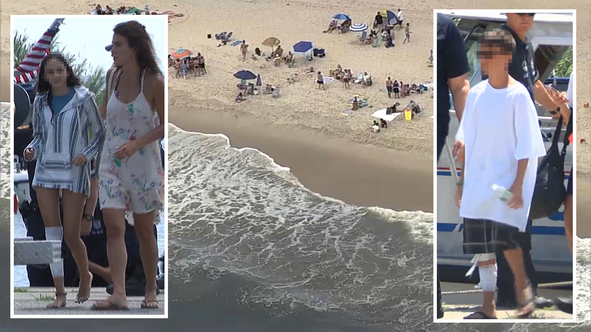 2 Kids Bitten in Separate Shark Attacks off Long Island Shores; Boy Has