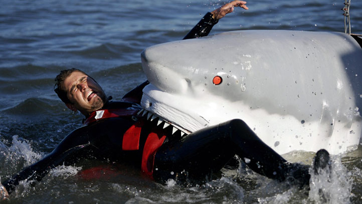 shark-week