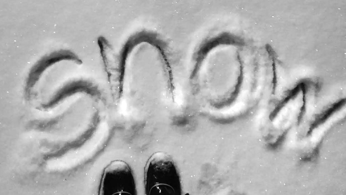 How Much Snow Did NYC Get? Check Totals Here NBC New York