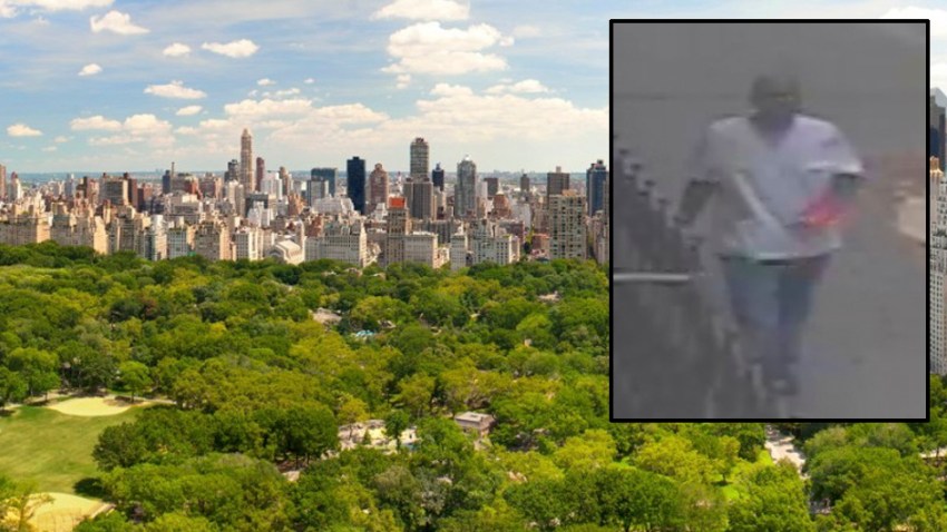 suspect central park robbery