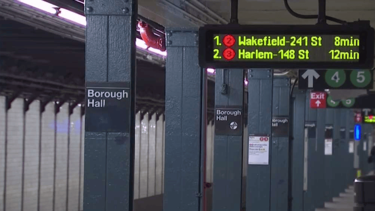 Woman Hit, Pushed Onto Tracks in Unprovoked Attack at Brooklyn Subway ...
