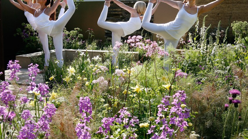 yoga-cleanse-fitness