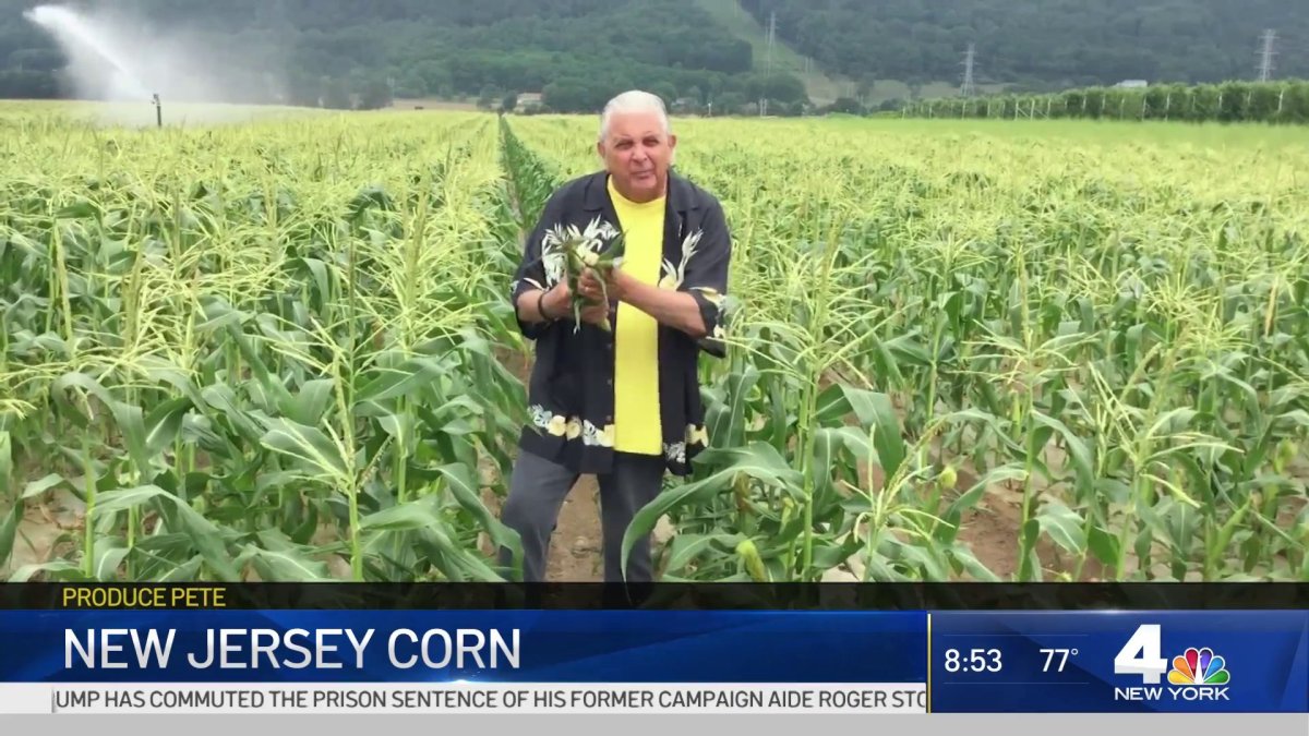 Produce Pete Jersey Corn NBC New York