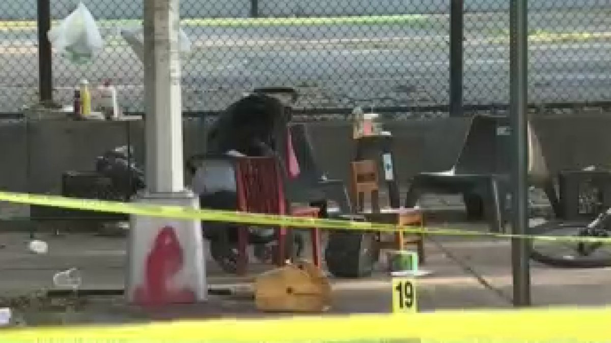 Baby Boy Shot and Killed at NYC Cookout NBC New York