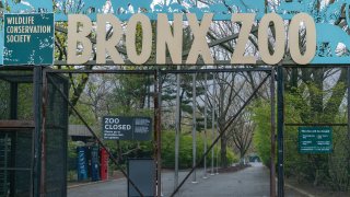 Bronx Zoo