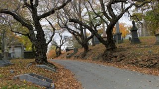 Green-Wood Cemetery in Brooklyn New York