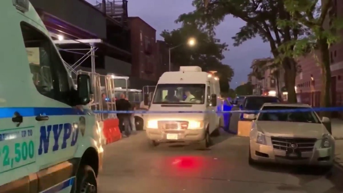 Man Dies After Being Shot in Face Steps From His Crown Heights Home ...