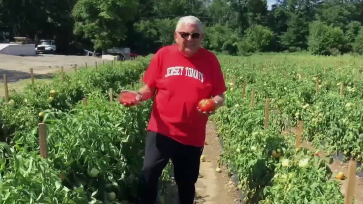 Produce Pete Summer Jersey Tomatoes NBC New York