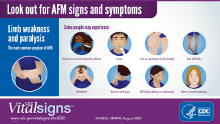 Symptom chart for childhood disease AFM