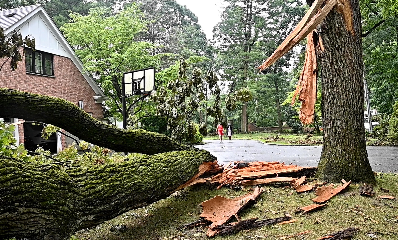 Pseg Long Island To Reimburse Customers For Goods Damaged During Isaias Outage Nbc New York