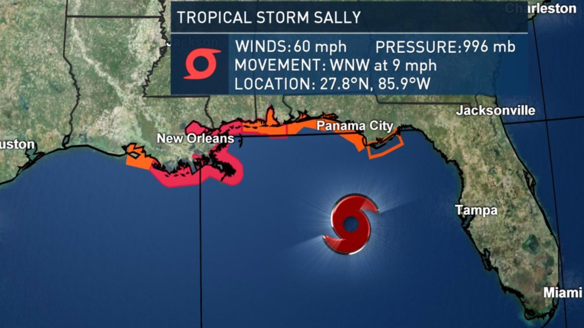 Tropical Storm Sally to Become Hurricane, Threaten US Gulf Coast – NBC New York