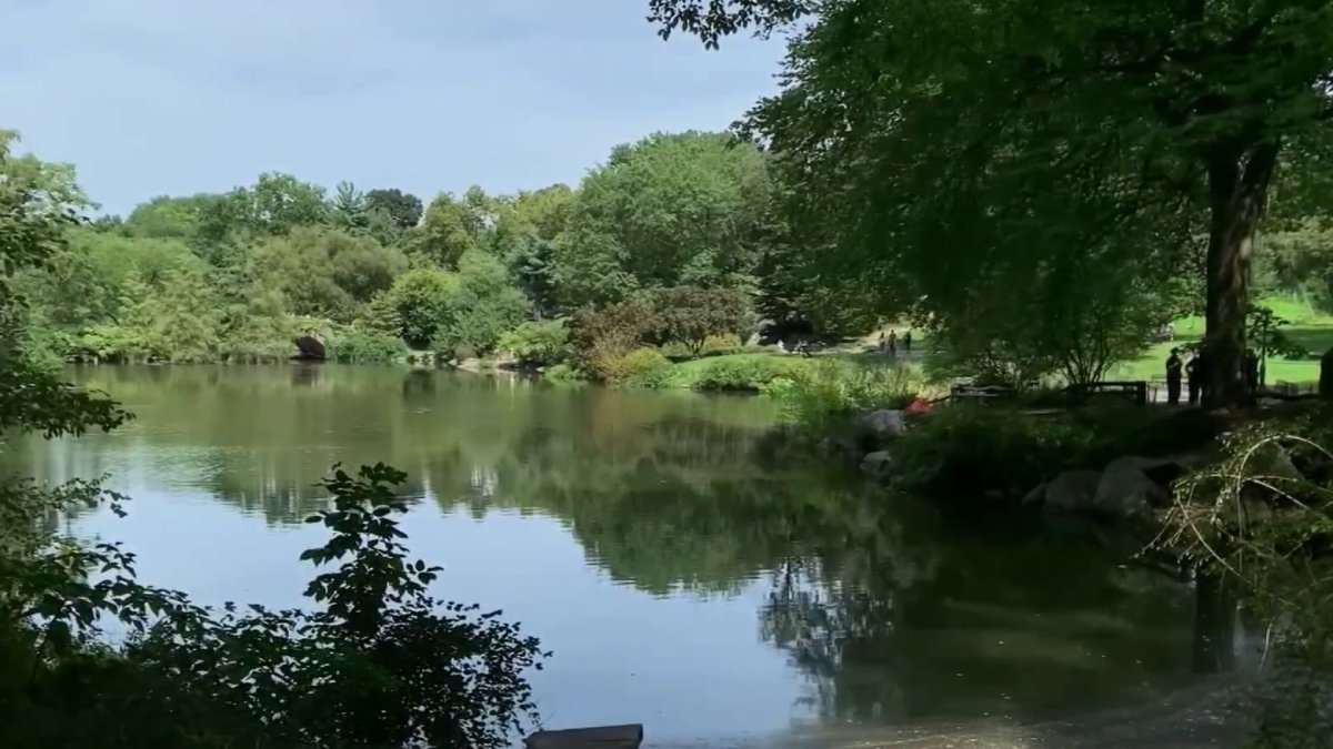 Body Found Floating in Central Park’s Pond: NYPD – NBC New York