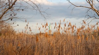 Liberty state park