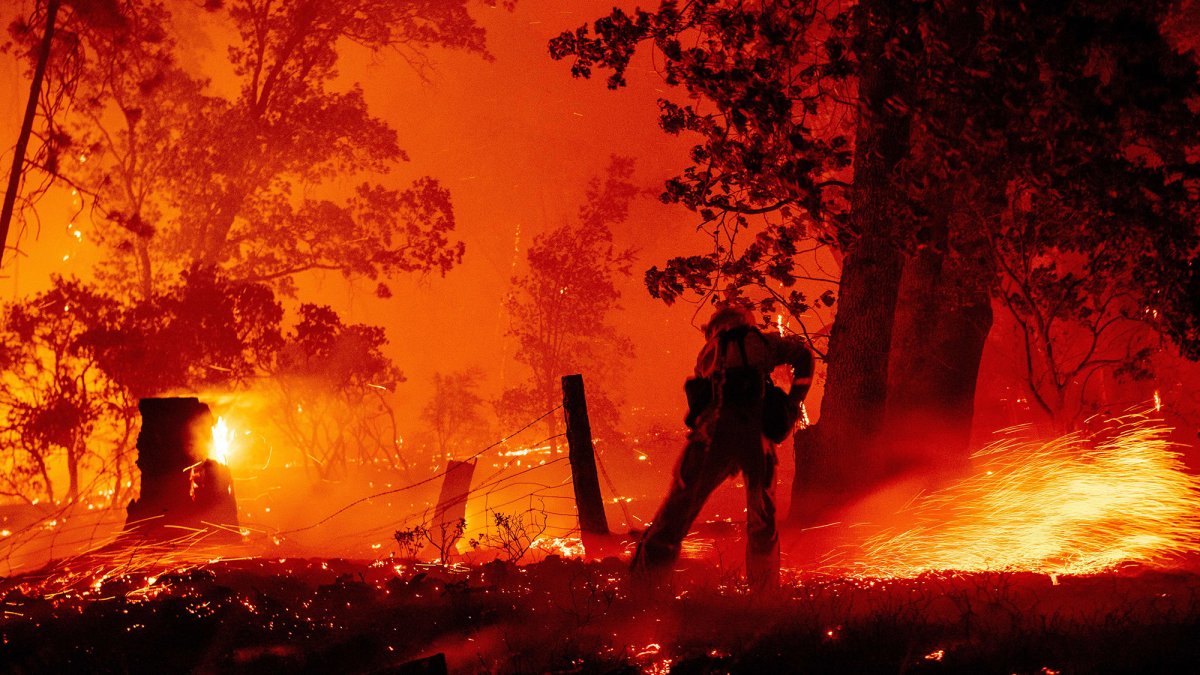 Have a fire. Старт огонь. Wildfire couse. Arson. Fire
