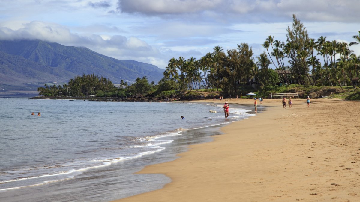 Tsunami live broadcast hawaii