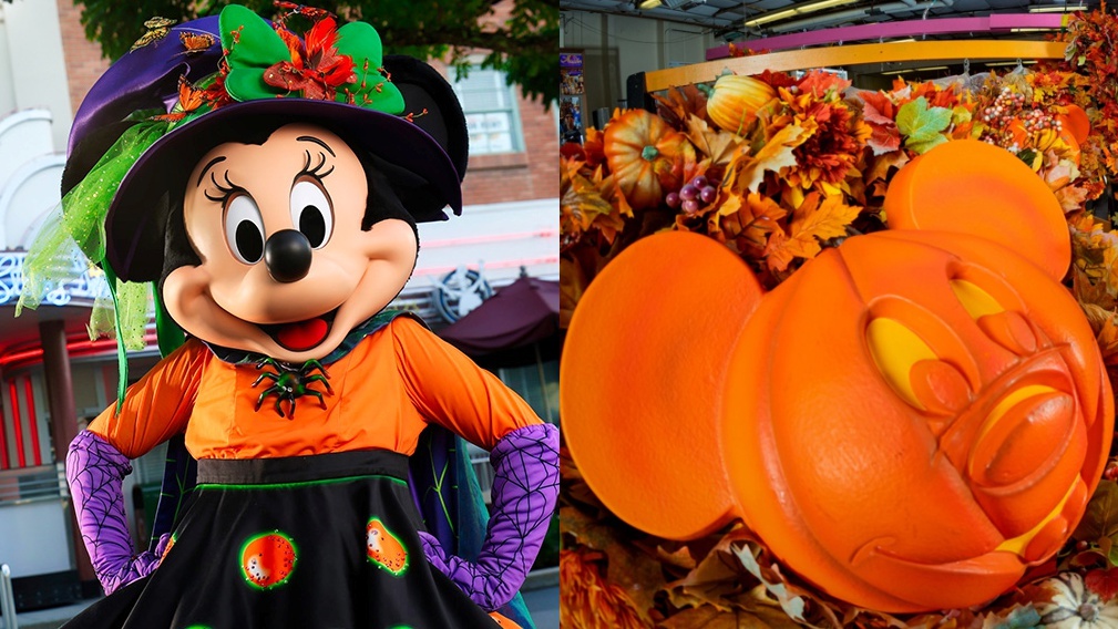 Disney Parks Launches ‘Everything Halloween’ Webpage – NBC New York