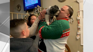 dog bella reunited with family