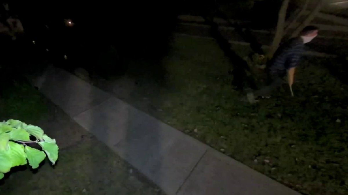 Black Lives Matter Sign Theft Caught on Camera – NBC New York