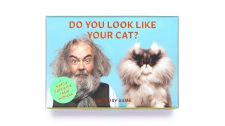 This image shows "Do You Look Like Your Cat?" a card memory game
