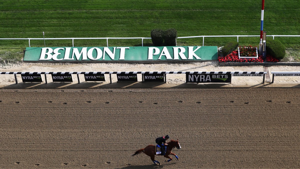 Fired Belmont Park Worker’s Retaliation Led to Racehorse’s Death