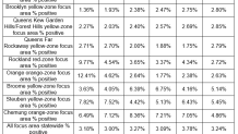 cuomo focus zone thus update