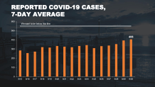 nyc daily case average friday