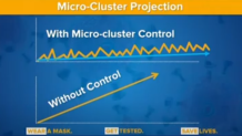 cuomo micro-cluster