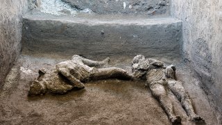 The casts of what are believed to have been a rich man and his male slave fleeing the volcanic eruption of Vesuvius nearly 2,000 years ago