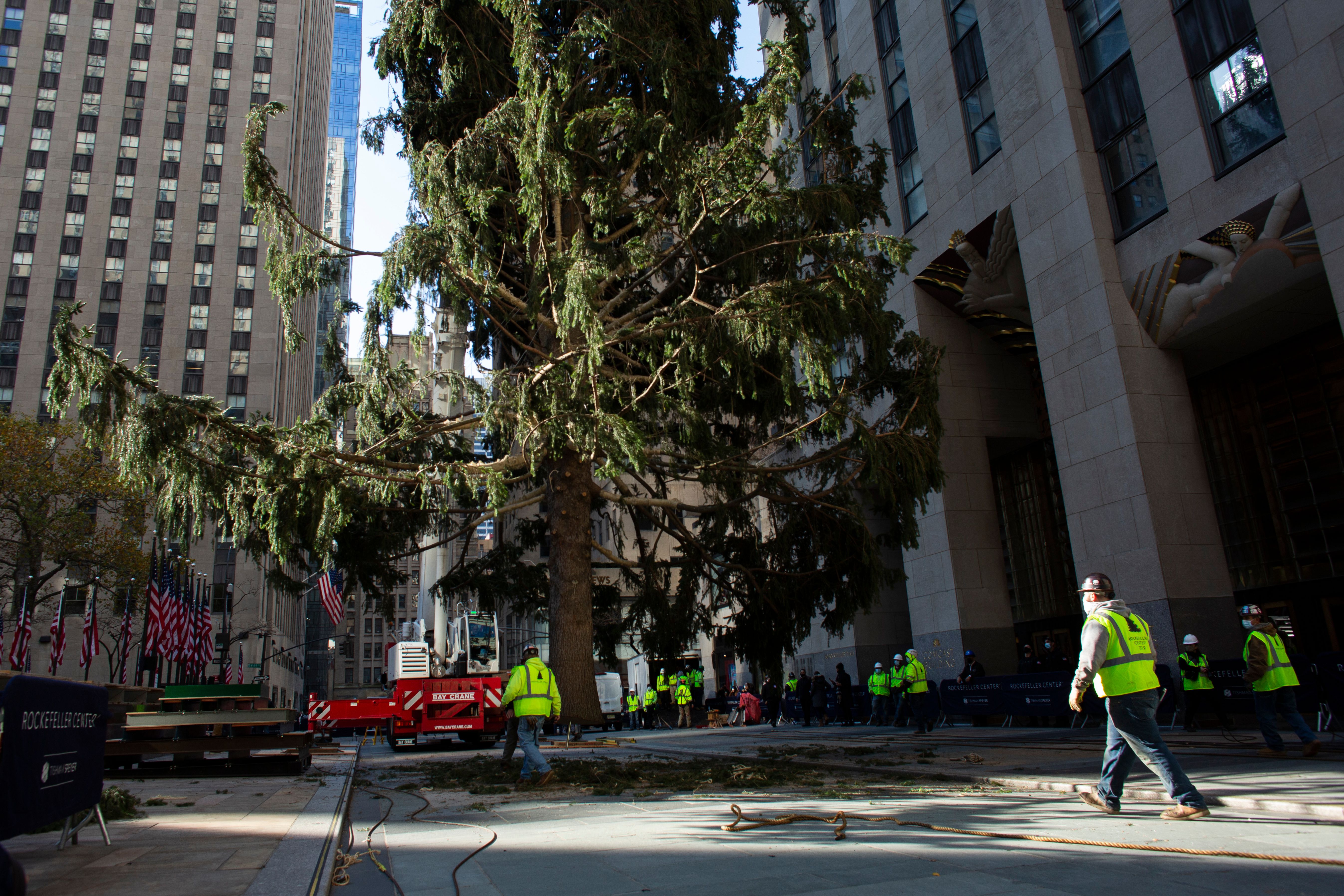 Photos Crews Hoist Christmas Tree At Rockefeller Plaza Nbc New York Photos Crews Hoist Christmas Tree At Rockefeller Plaza Nbc New York