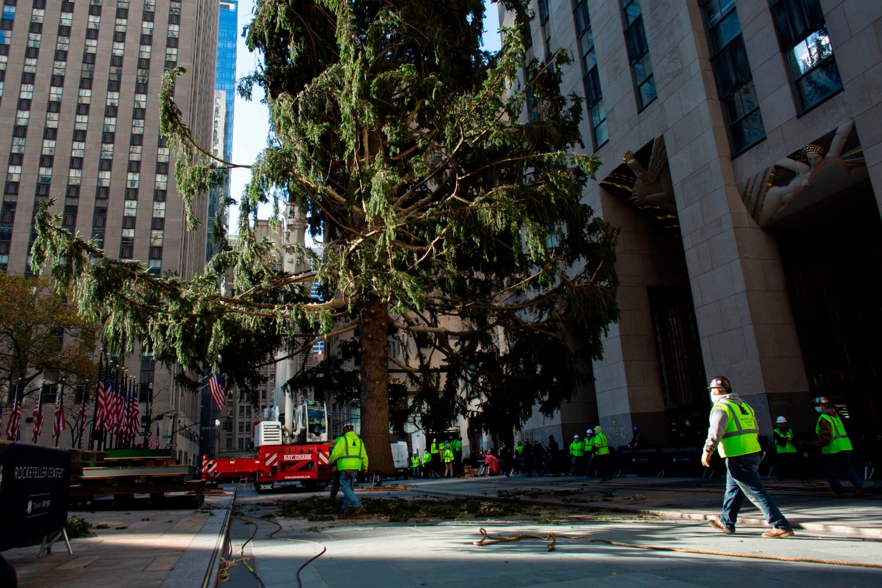 Photos: Crews Hoist Christmas Tree at Rockefeller Plaza – NBC New York