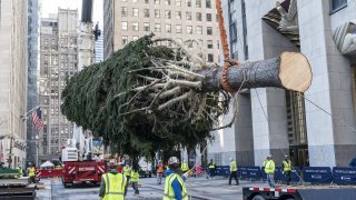 A 75-foot Christmas Tree from Oneonta is being installation at the Rockefeller Plaza. The Christmas Tree has been donated by Daddy Al's General Store in Oneonta, NY. The tree is 75-foot tall, 45-foot in diameter and weighs 11-tons.