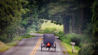 Horse-drawn buggy on road