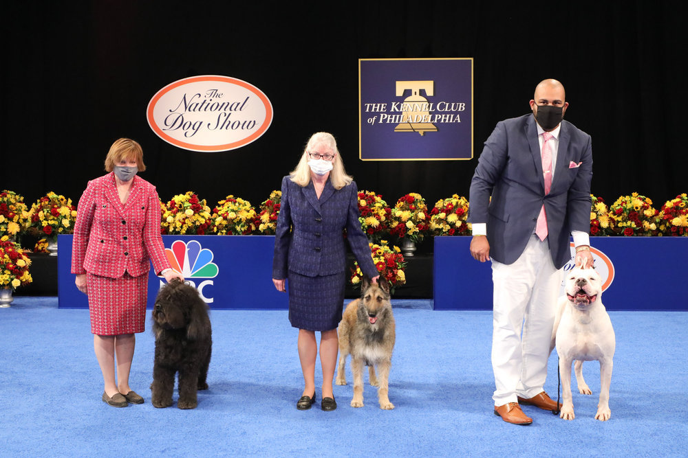 2021 National Dog Show History, Time, New Breeds, How to Watch and