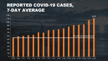 nyc case average 1117