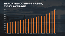 nyc case avg 1119