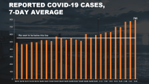nyc case average tuesday