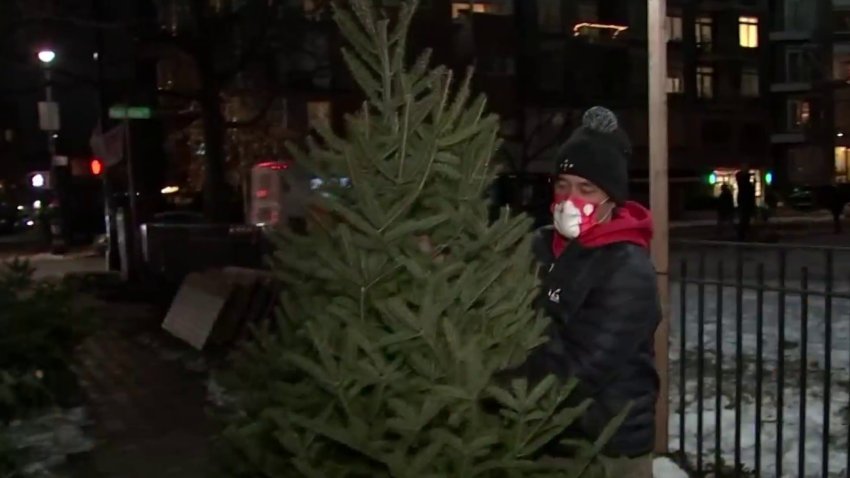 Tag Christmas Tree Nbc New York