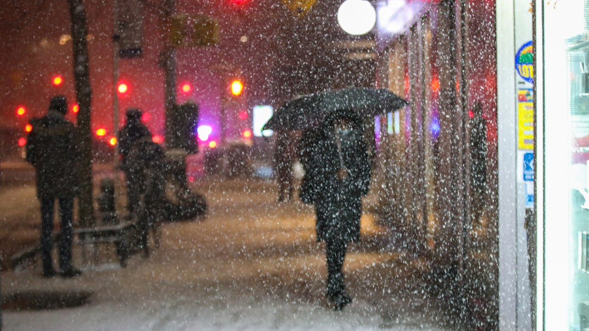 How Much Snow Did You Get? Check Latest Totals From Around