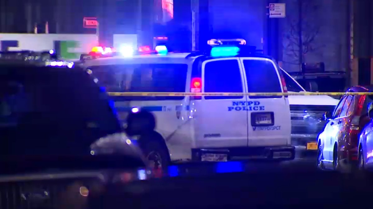 Brooklyn Woman, 60, Becomes 4th NYC Victim Struck by Stray Bullet in 6 ...