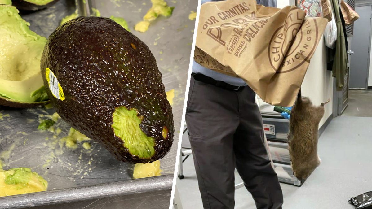 NYC Chipotle Besieged By AvocadoHungry Rats, Employees Say NBC New York