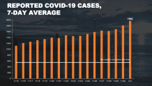 nyc cases thursday