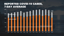 nyc probable cases
