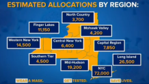 vaccine allocations