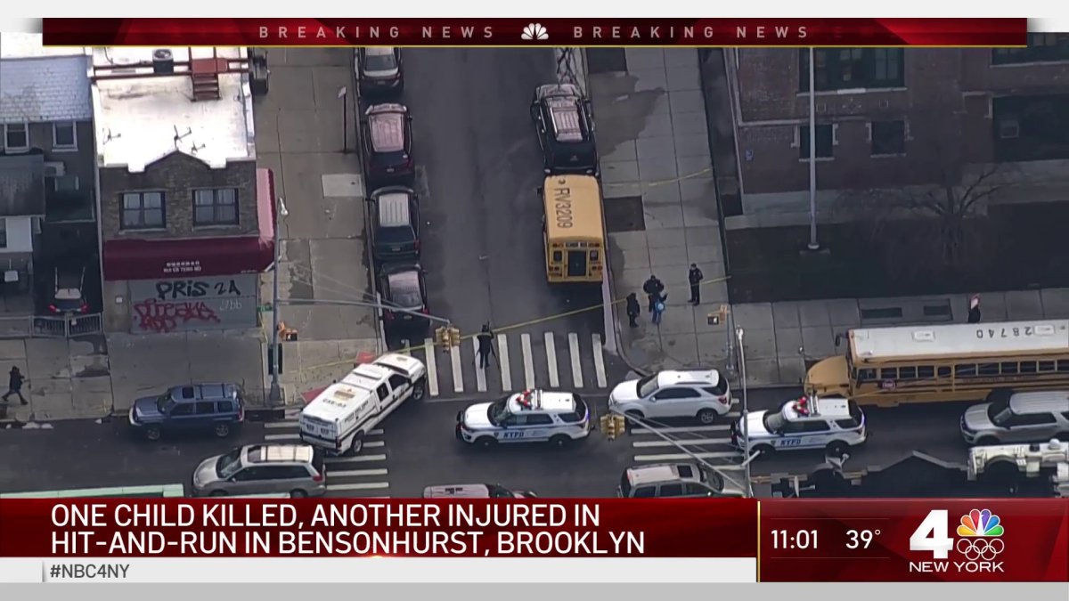 1 Child Dead, Another Hurt in Brooklyn Hit-And-Run – NBC New York