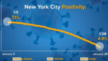 nyc positivity gov