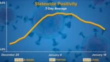 positivity rate chart