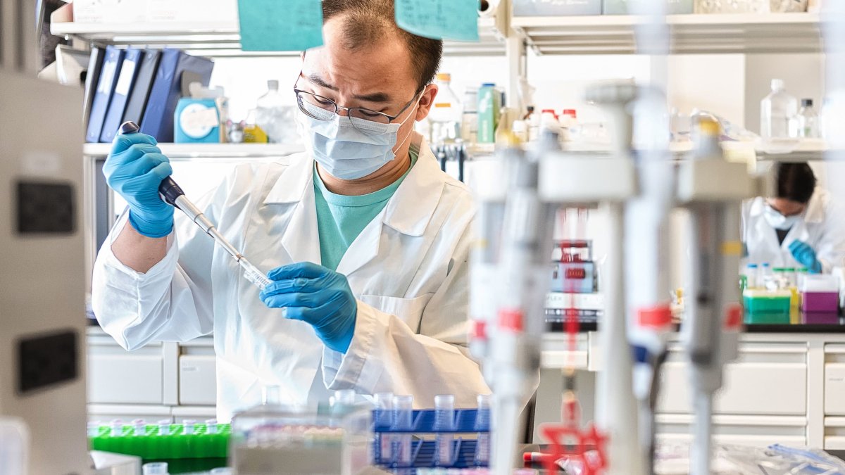 First South African COVID19 Variant Found in NY Resident Cuomo NBC