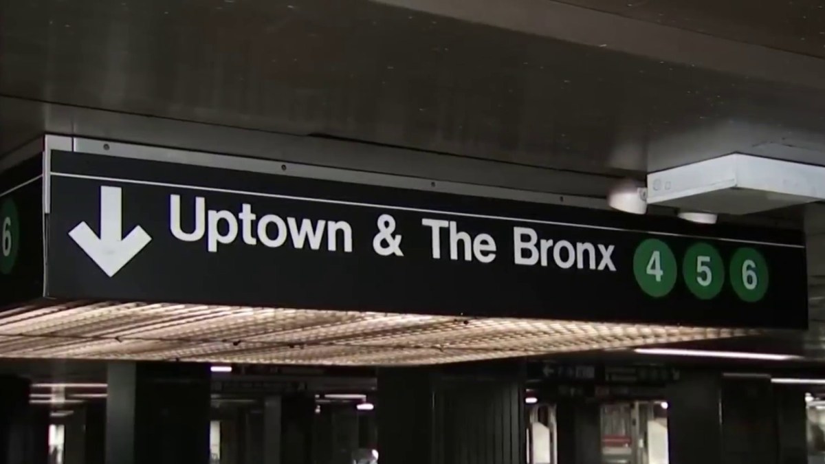 Woman Shoves 54-Year-Old Off Subway Platform in Bronx Station: Police - Vimarsana News